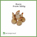 Lansones | Duco Variety | From 500g