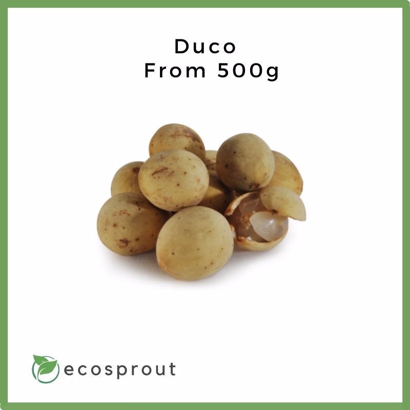Lansones | Duco Variety | From 500g