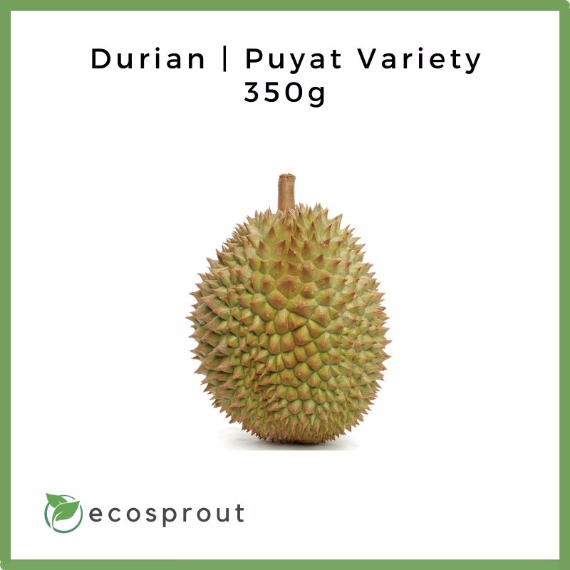 Durian | Puyat Variety | 4 Tubs | FREE SHIPPING