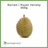 Durian | Puyat Variety | 6 Tubs | FREE SHIPPING