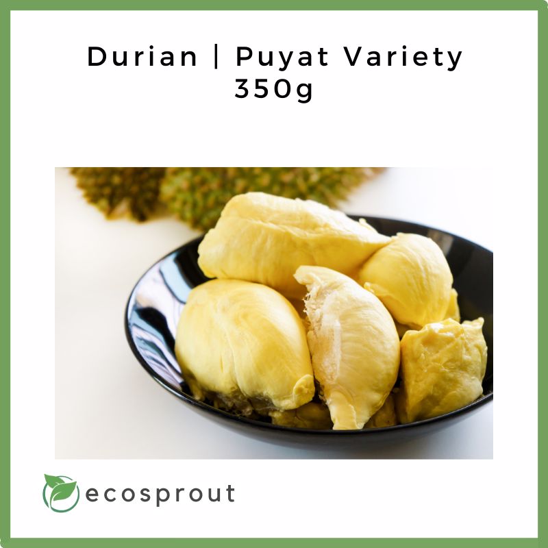 Durian | Puyat Variety | 4 Tubs | FREE SHIPPING