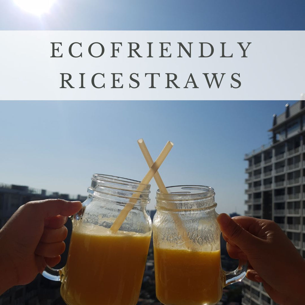 Thin RiceStraws™ | Individually Packed