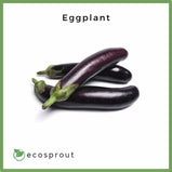Eggplant | From 250g