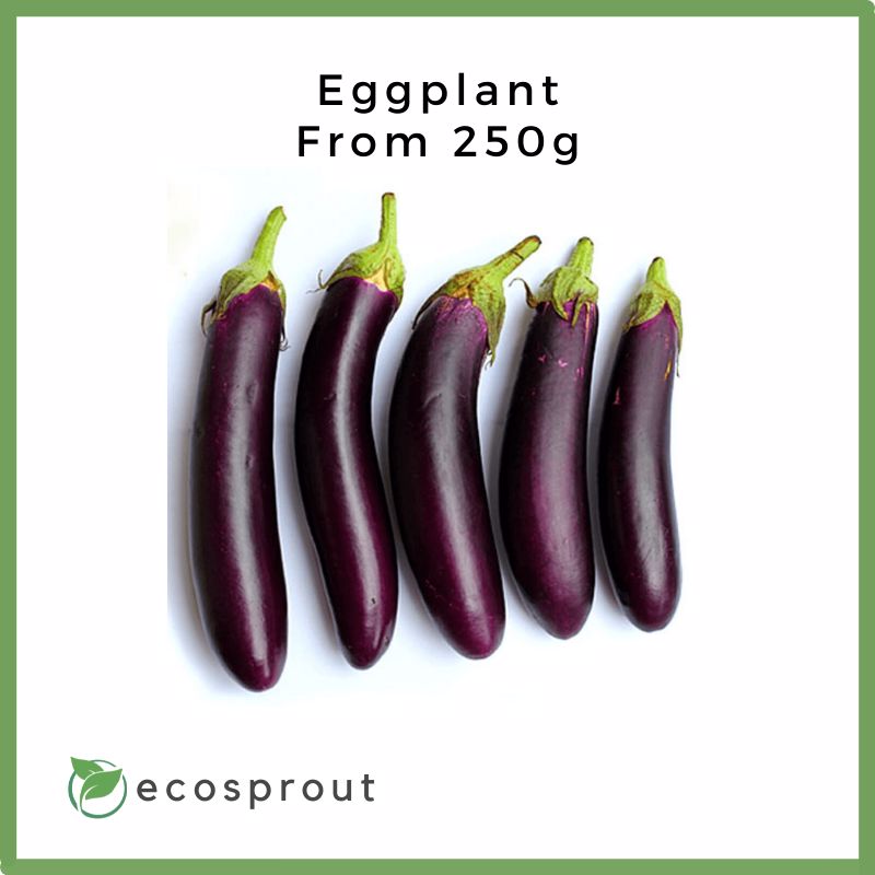 Eggplant | From 250g