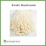 Enoki Mushroom | Per Pack