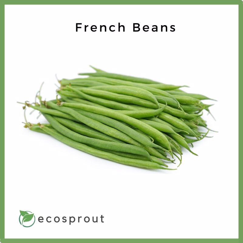 french green beans product photo