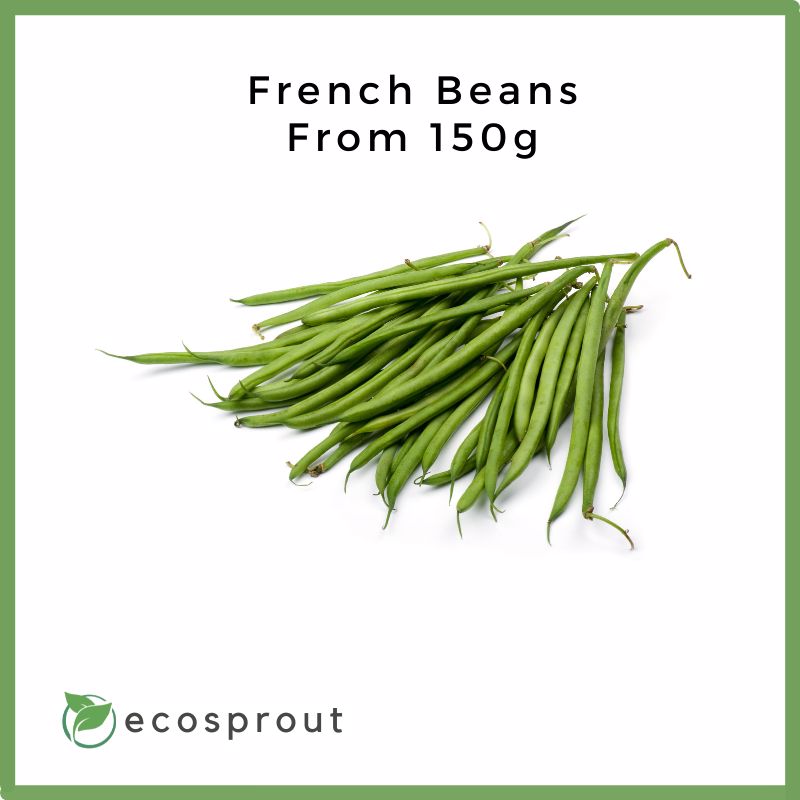 french green beans bundle