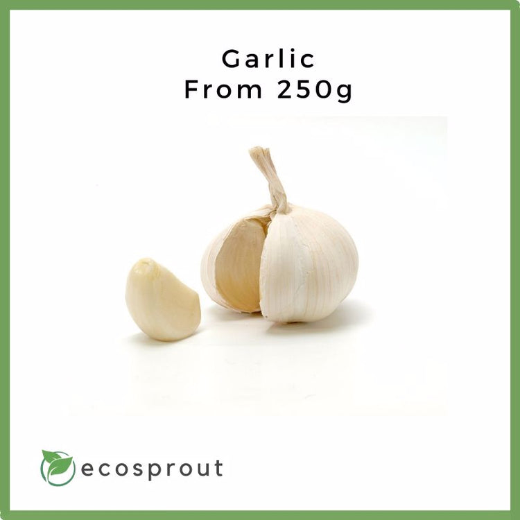 Garlic | From 250g