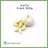 Garlic | From 250g