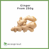 Ginger | 250g