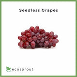 Seedless Grapes | From 250g -1KG