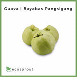 Guava | Bayabas Pangsigang | From 250g