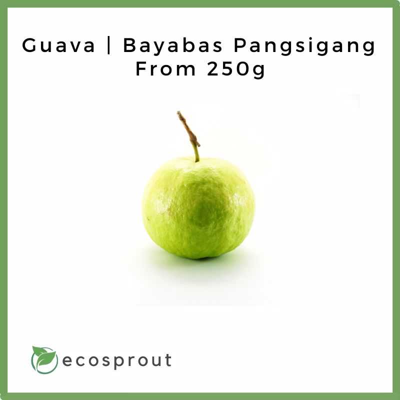Guava | Bayabas Pangsigang | From 250g