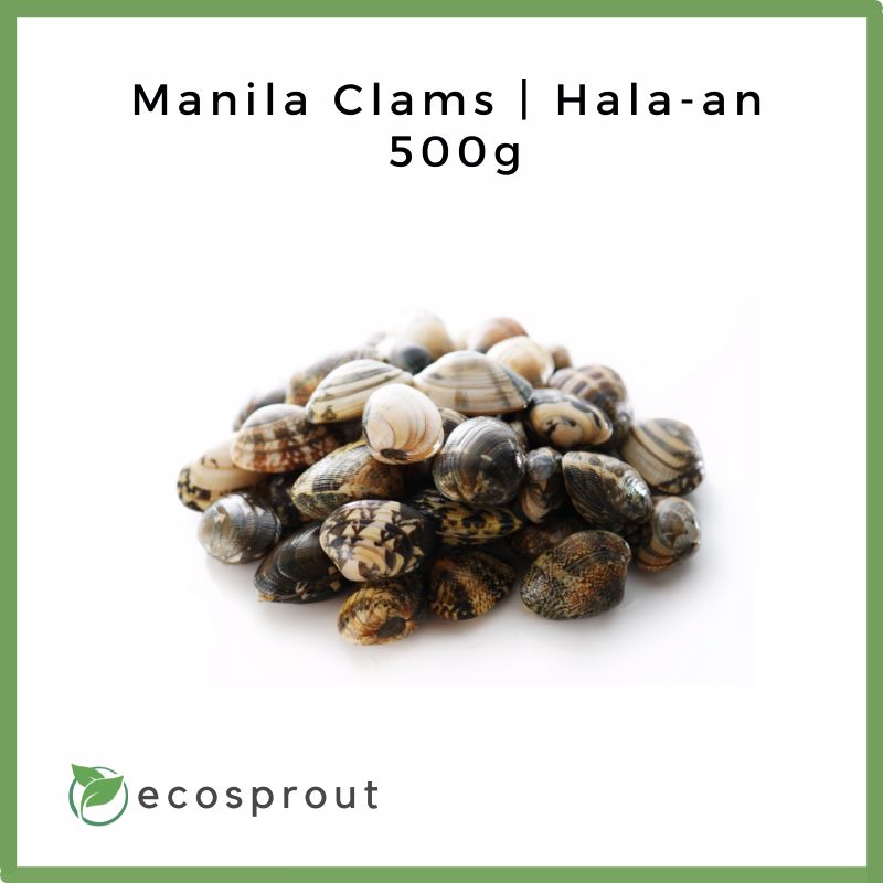 Manila Clams | Hala-an | 500g
