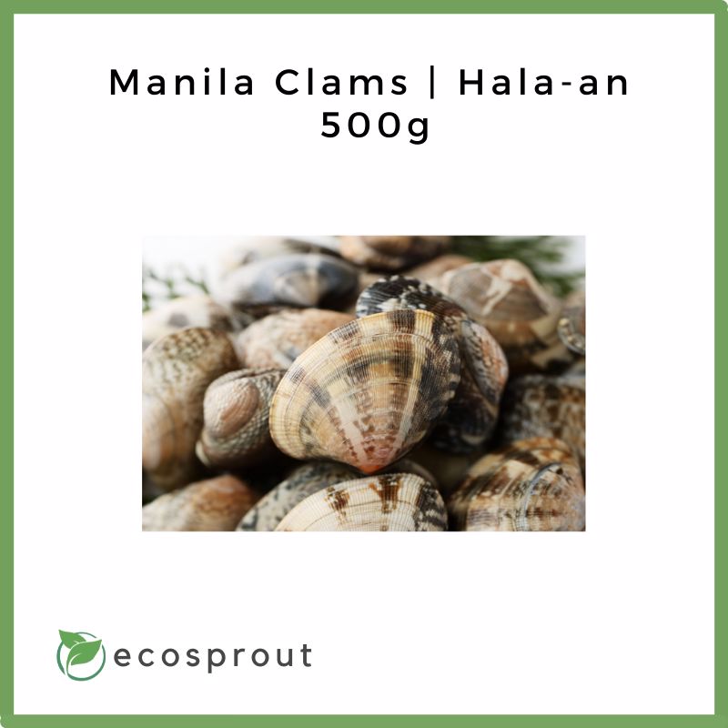 Manila Clams | Hala-an | 500g