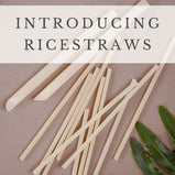 Thin RiceStraws™ | Individually Packed