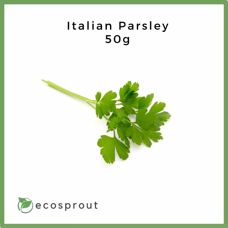 Italian Parsley | 250g