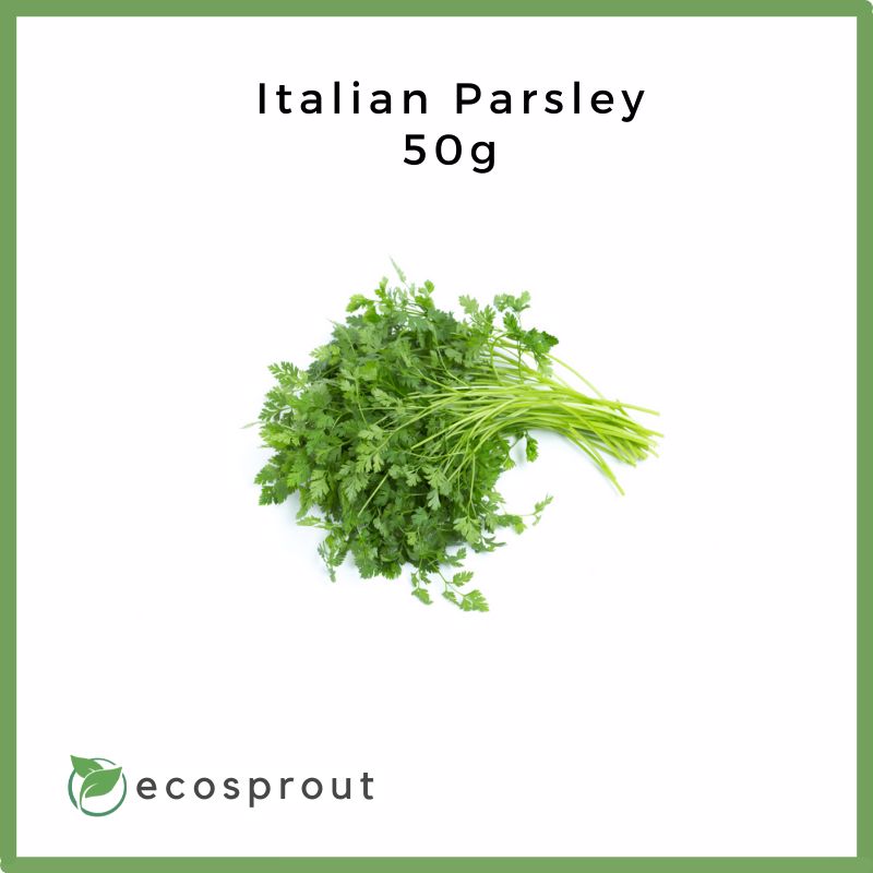 Italian Parsley | 250g