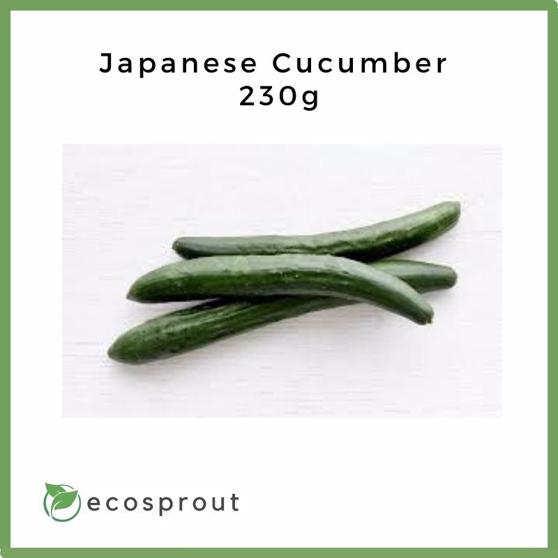Japanese Cucumber | 1KG