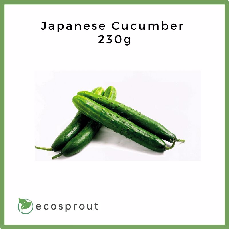 Japanese Cucumber | 1KG