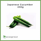 Japanese Cucumber | 250g