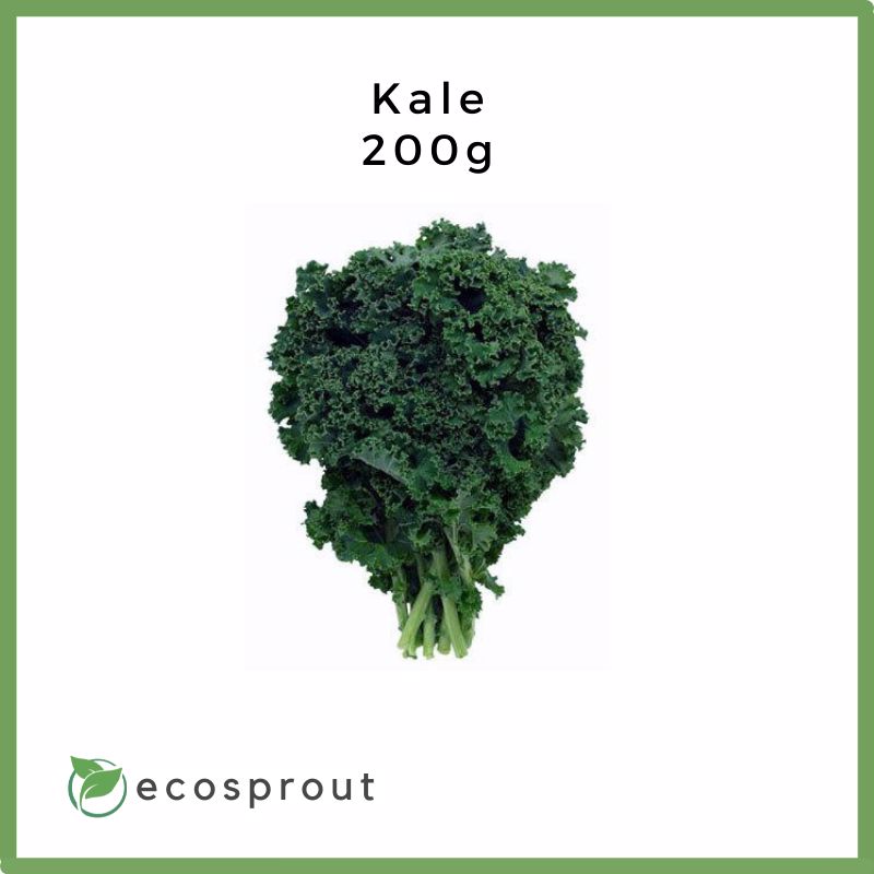 Kale | 250g Per Pack