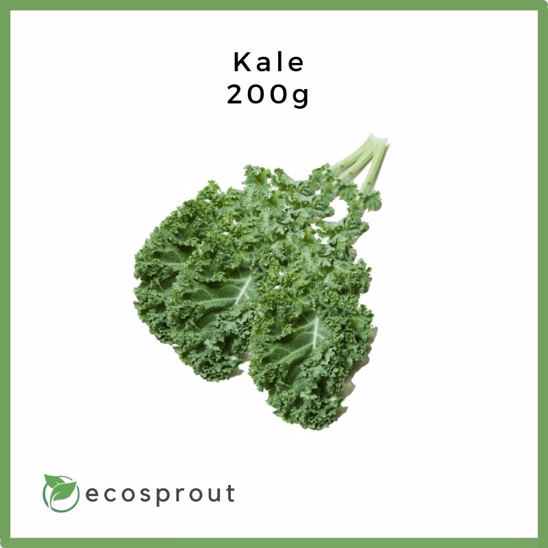 Kale | 250g Per Pack