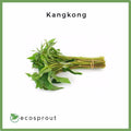 Kangkong | 250g