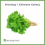 Kinchay | Chinese Celery | 50g