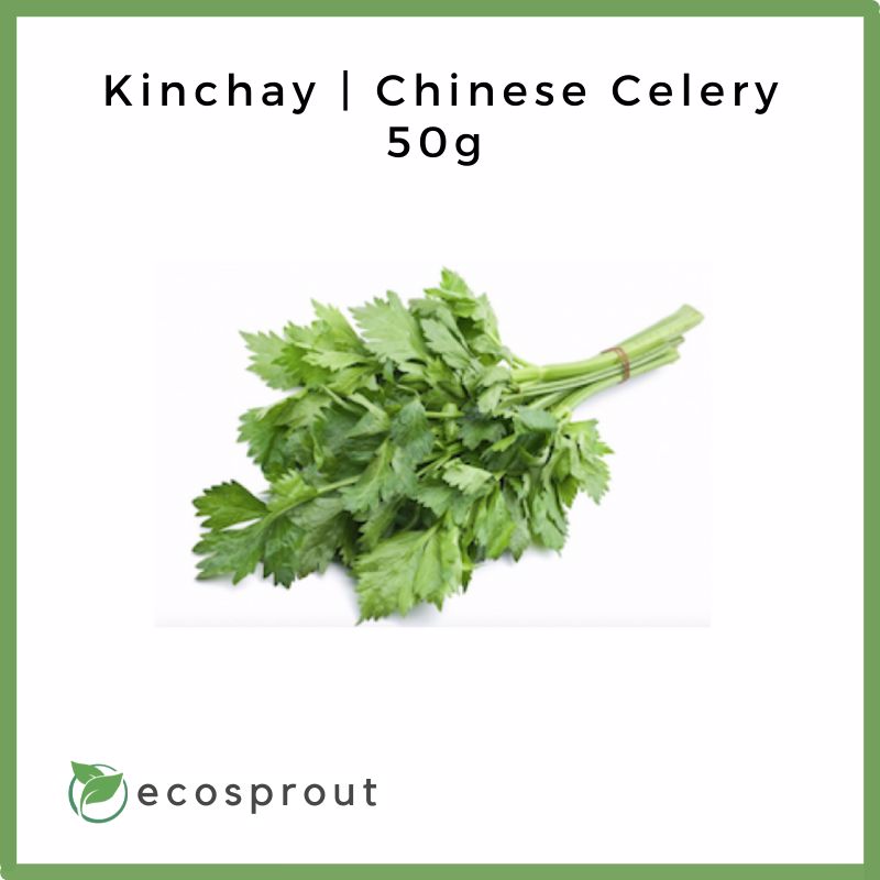 Fresh Kinchay | Chinese Celery For Delivery Near Me – Sprouts
