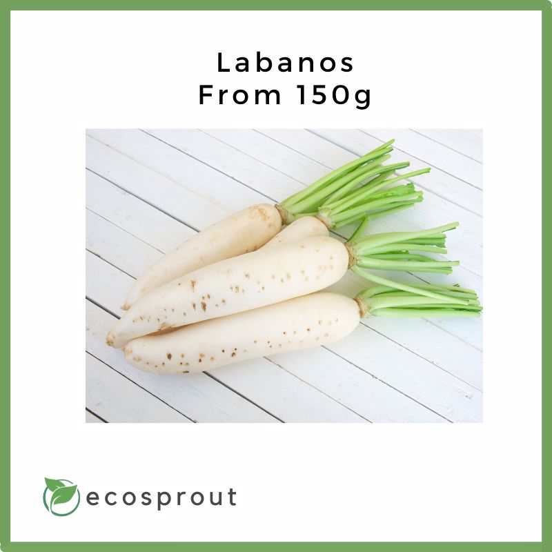 Labanos (Radish) for delivery from 150g