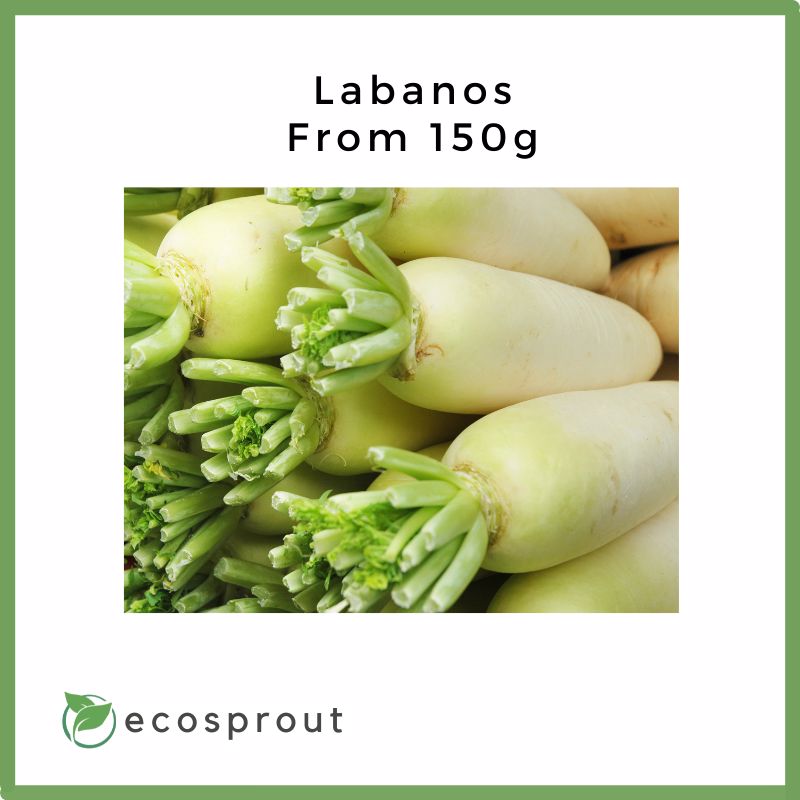 Labanos (Radish) for delivery