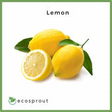 Lemon | 3 for 110