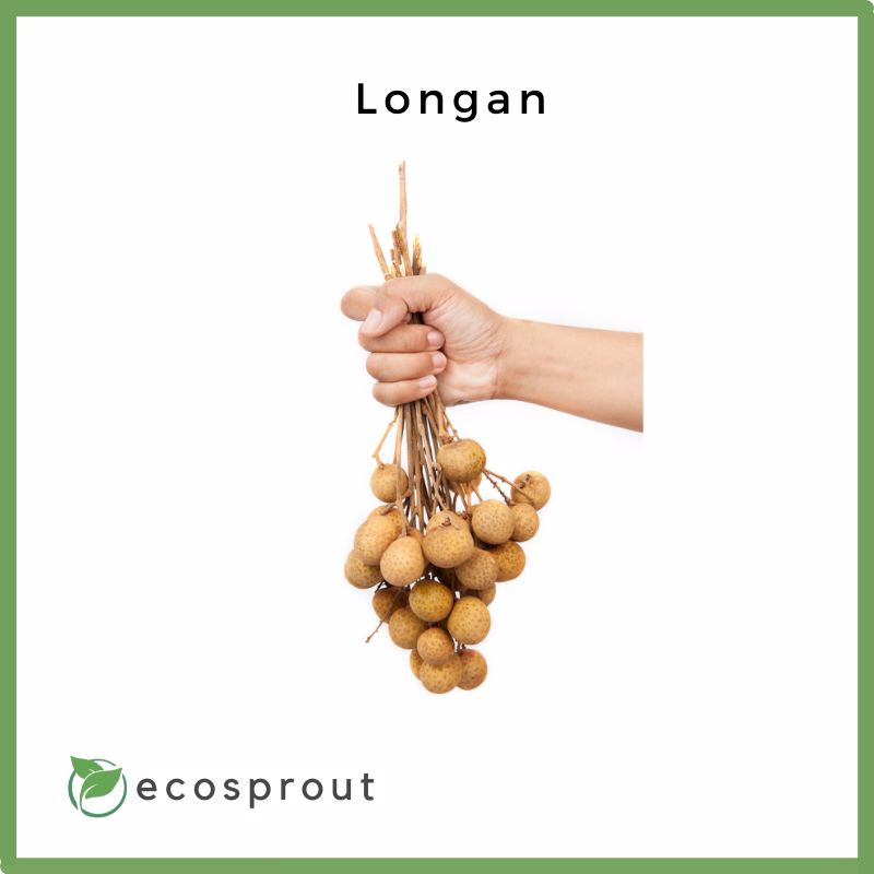 Longan | 1kg