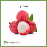 red lychee for delivery close up photo