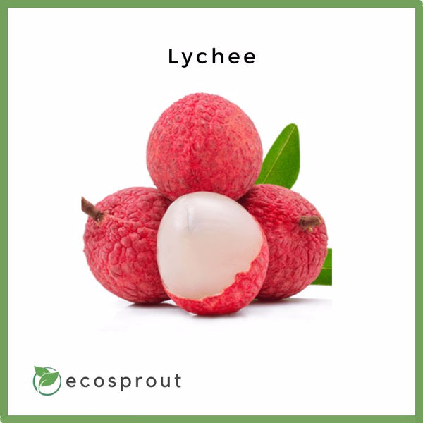 Fresh Red Lychee For Delivery Near Me Ecosprout