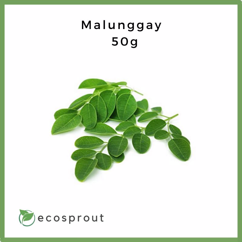 Malunggay | 50g