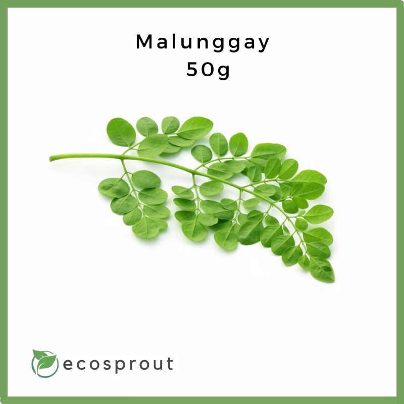 Malunggay | 50g