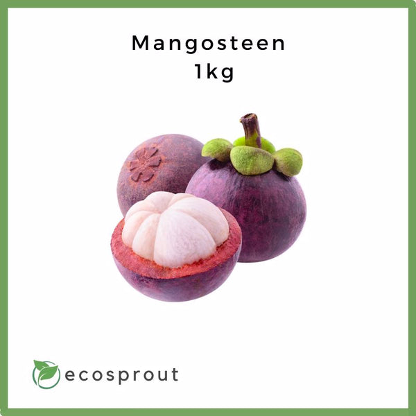 Fresh Mangosteen For Delivery Near Me Ecosprout