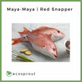 Maya-Maya | Red Snapper | 500g