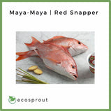 Maya-Maya | Red Snapper | 500g