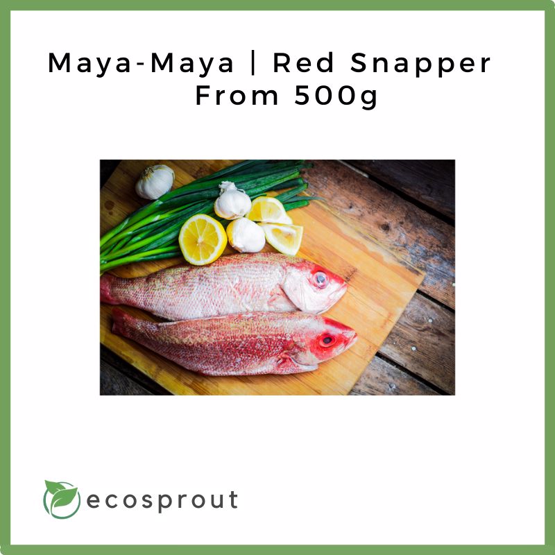 Maya-Maya | Red Snapper | 500g