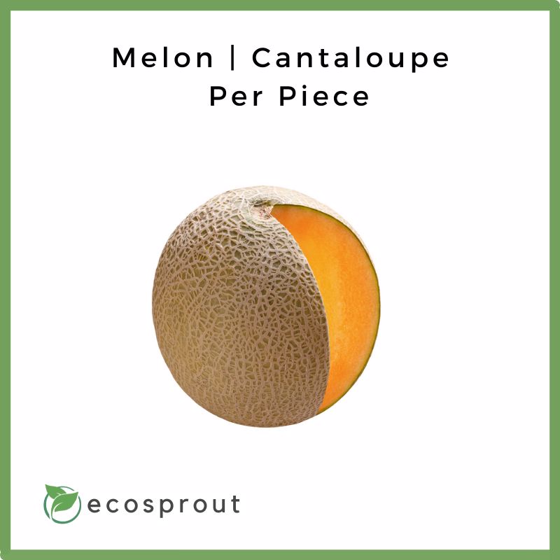 Melon | Sweet Melon | Per piece