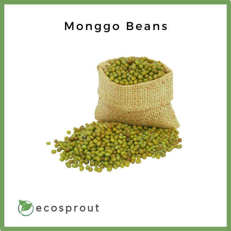 Monggo Beans | 250g