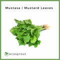 Mustasa | Fresh Mustard Leaves | 100g