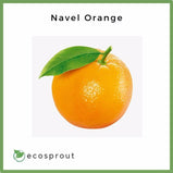 Navel Orange | 3 for P183