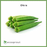 Okra | From 150g