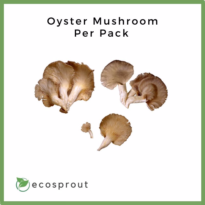 Oyster Mushroom | Per Pack