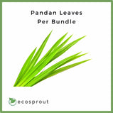 Pandan Leaves | Bundle