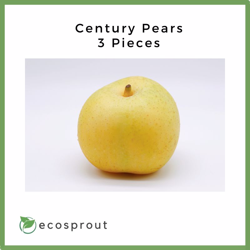 Century Pears | 3 for 195